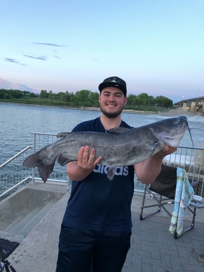 Channel Catfish
