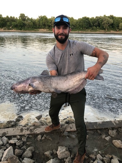 Channel Catfish