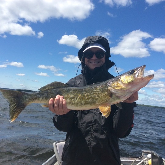 Walleye