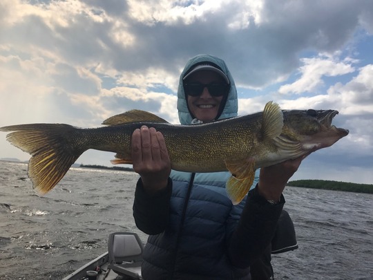 Walleye