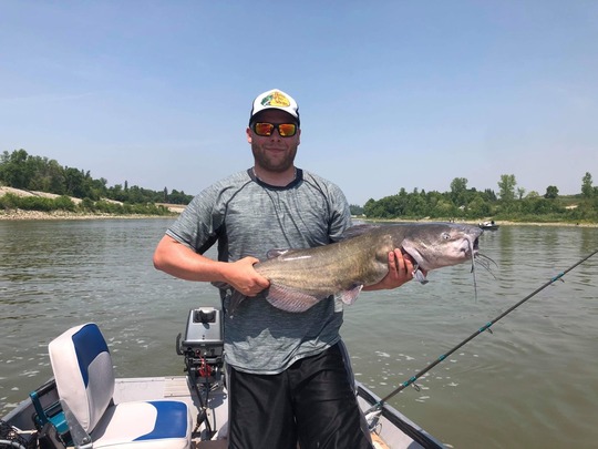 Channel Catfish