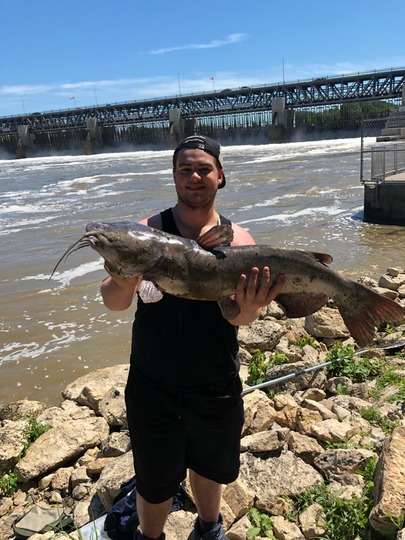 Channel Catfish