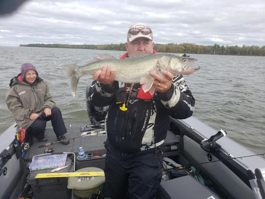 Walleye