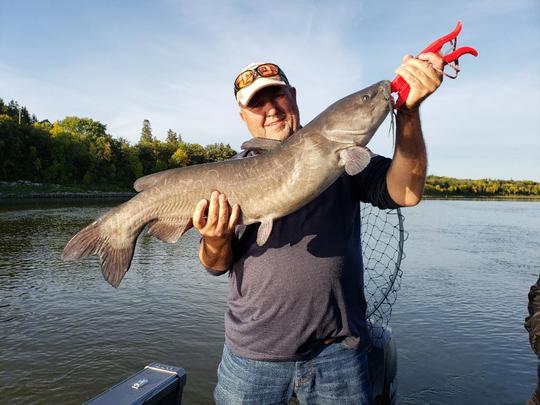 Channel Catfish
