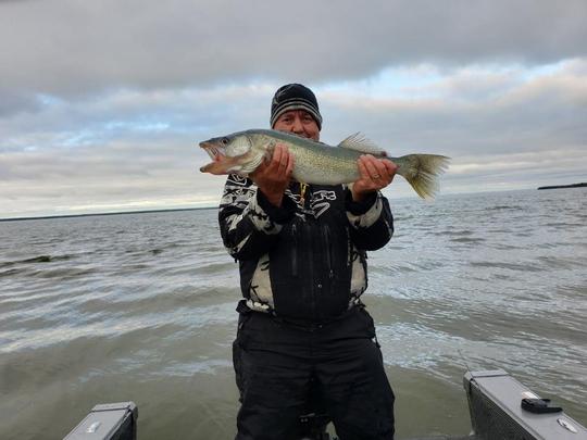 Walleye