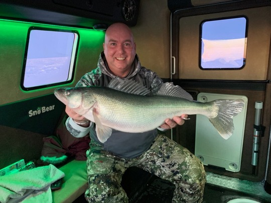 Walleye