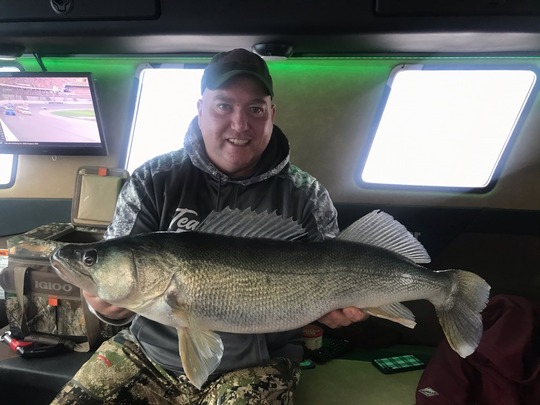 Walleye