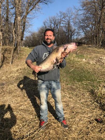 Channel Catfish