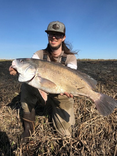 Freshwater Drum