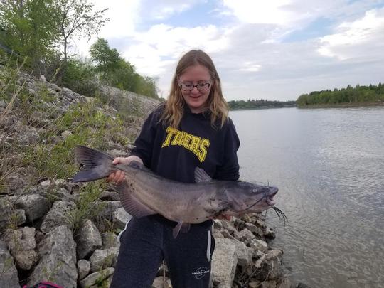 Channel Catfish