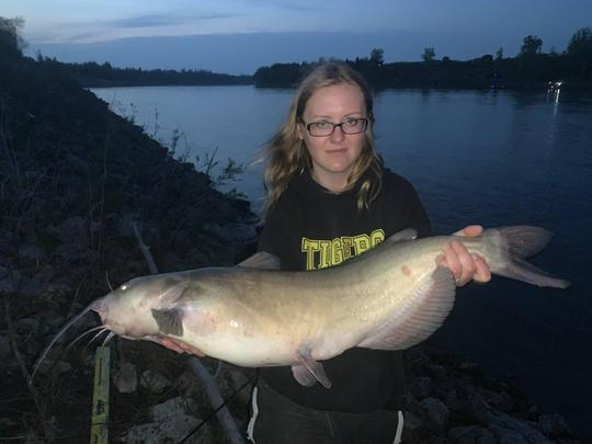 Channel Catfish