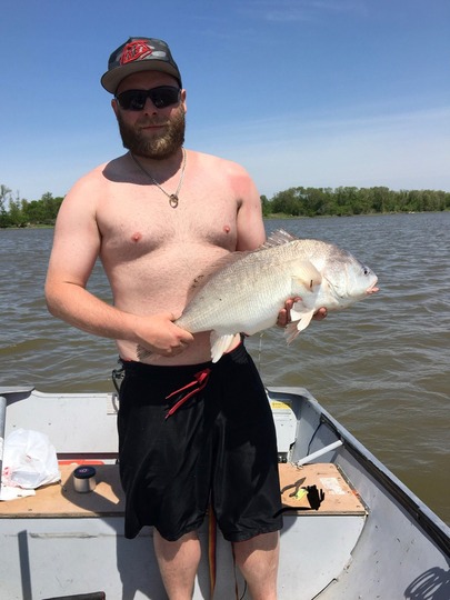 Freshwater Drum