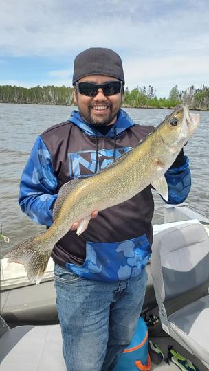 Walleye