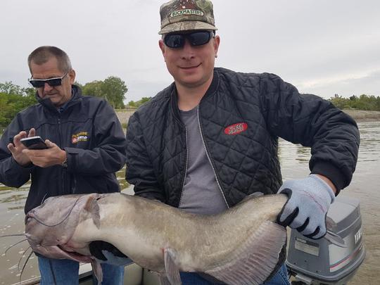 Channel Catfish