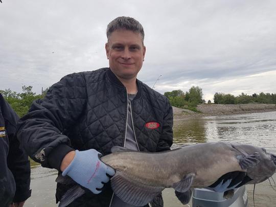 Channel Catfish