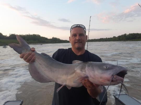 Channel Catfish