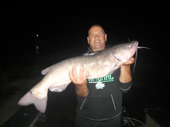 Channel Catfish