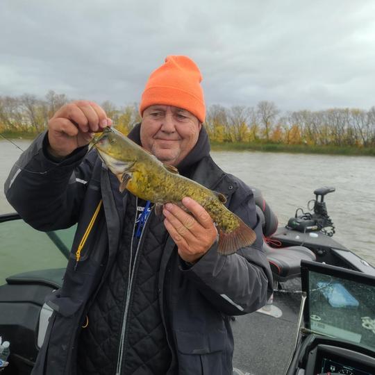 Bullhead