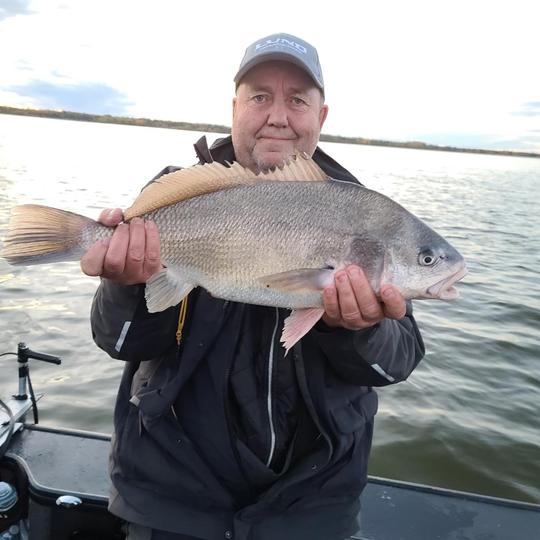 Freshwater Drum