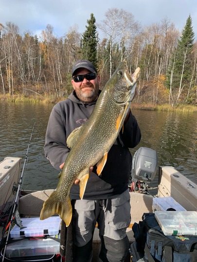 Lake Trout