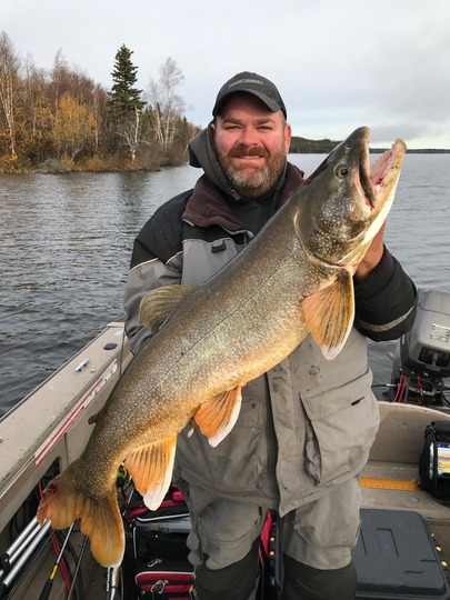 Lake Trout