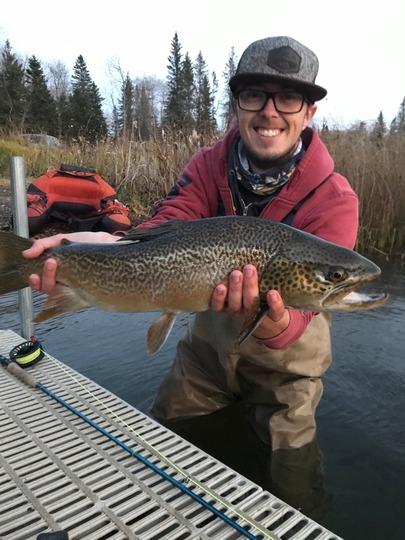 Tiger Trout