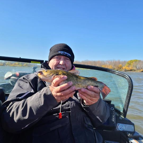 Bullhead