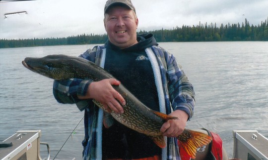 Northern Pike