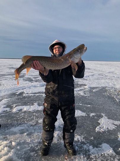 Northern Pike