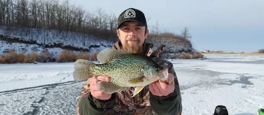 Black Crappie