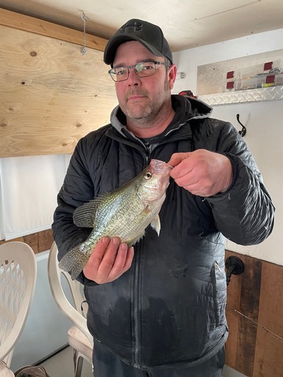 Black Crappie