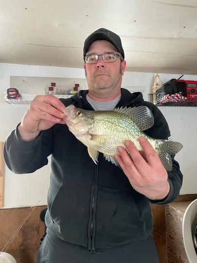 Black Crappie