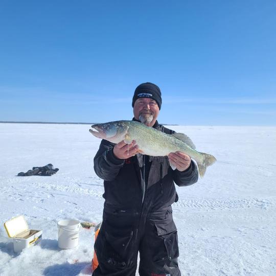 Walleye