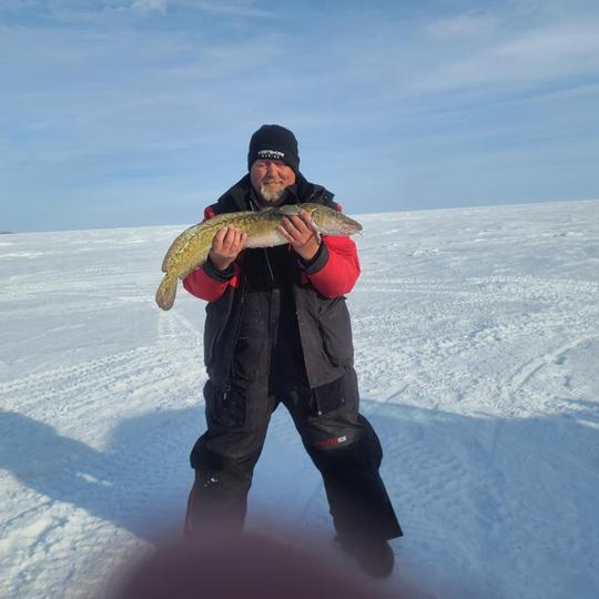 Burbot