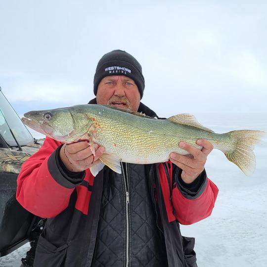 Walleye