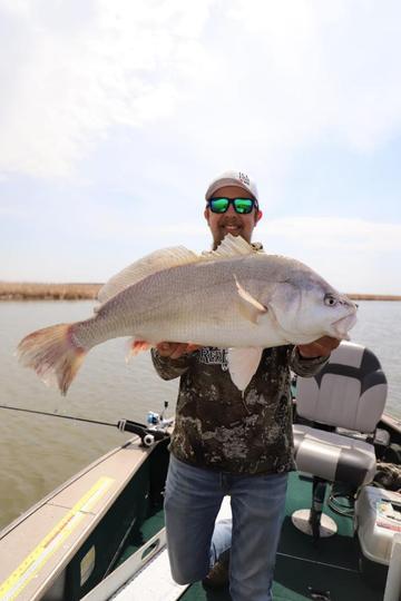 Freshwater Drum