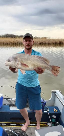 Freshwater Drum