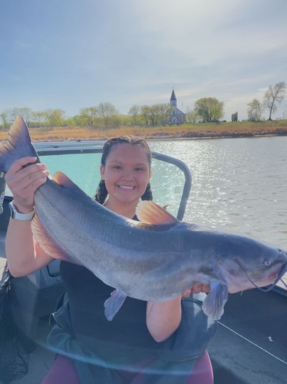Channel Catfish