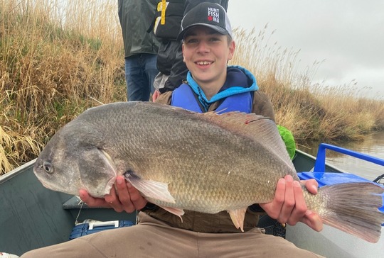 Freshwater Drum