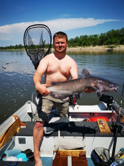 Channel Catfish