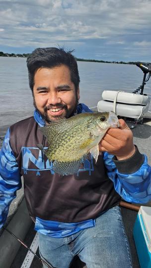 Black Crappie