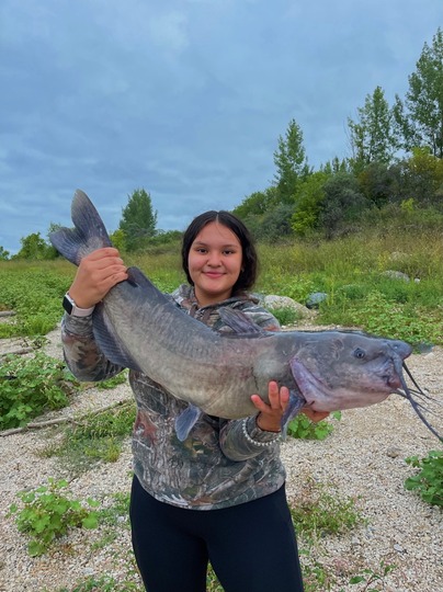 Channel Catfish
