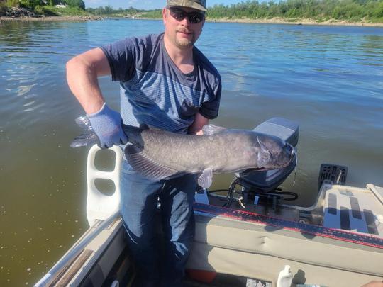 Channel Catfish