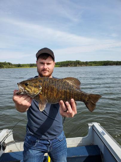 Smallmouth Bass