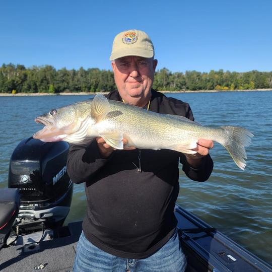 Walleye