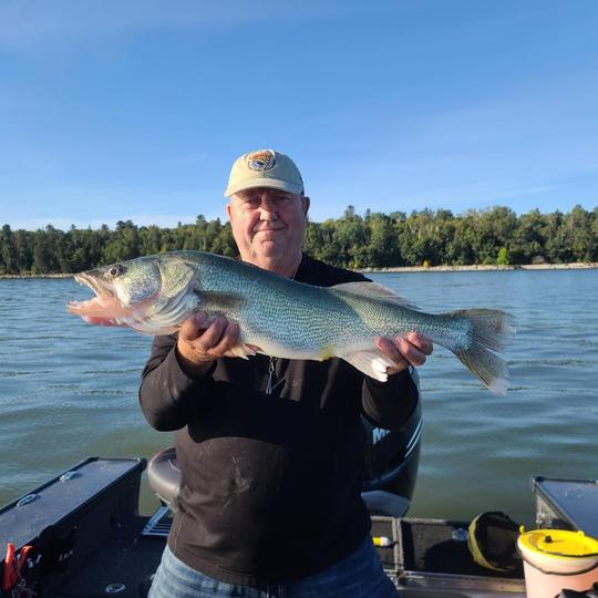 Walleye
