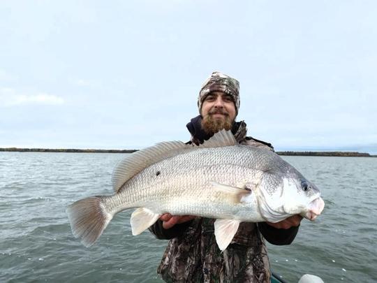 Freshwater Drum