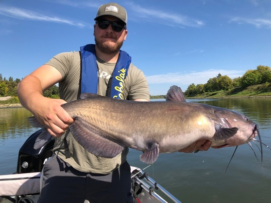 Channel Catfish