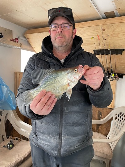 Black Crappie