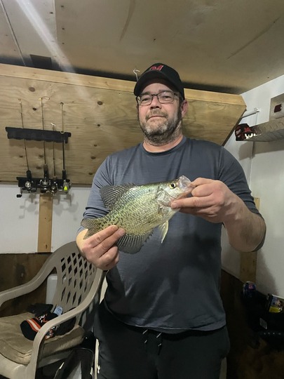 Black Crappie